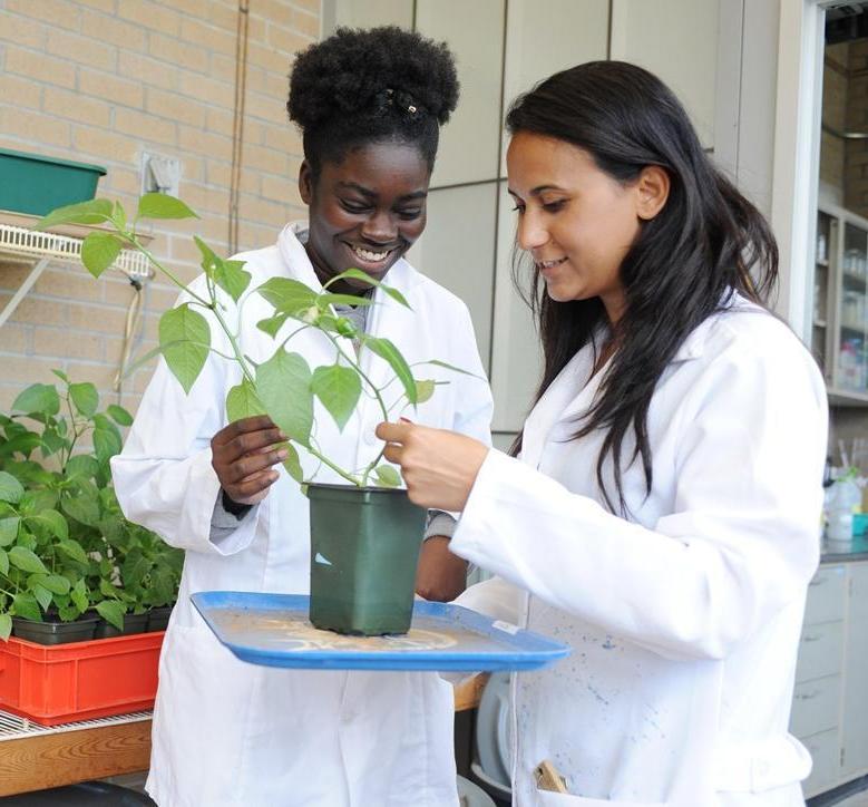 biology students in greenhouse