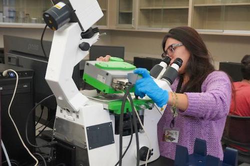 Graduate assistant Ana Isabel Delgado